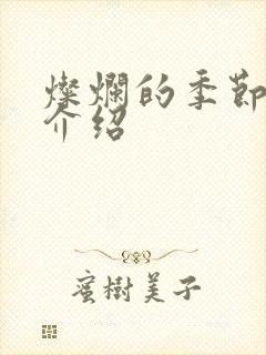 灿烂的季节剧情介绍