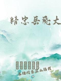 精忠岳飞大结局