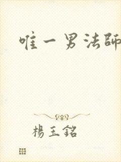 唯一男法师