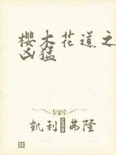 樱木花道之重生凶猛