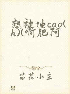 想被他cao(h)(啊肥阿