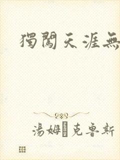 独闯天涯无弹窗