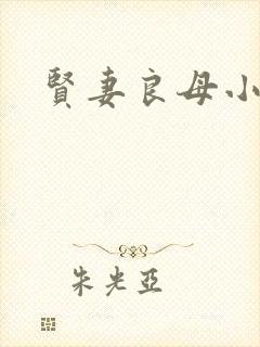 贤妻良母小说
