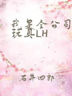 我是全公司发泄玩具LH