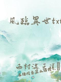 风临异世txt