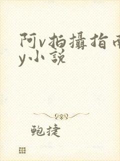 阿v拍摄指南by小说