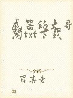 成器的大哥笔趣阁txt下载
