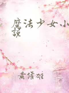 魔法少女小圆小说