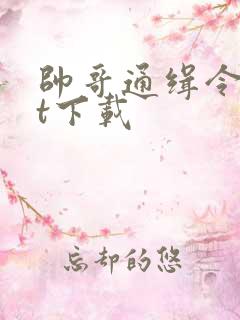 帅哥通缉令txt下载