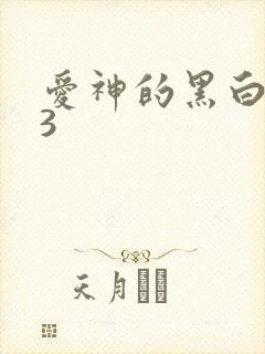 爱神的黑白羽翼3