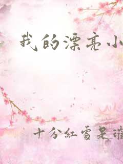 我的漂亮小后妈