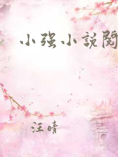 小强小说阅读网