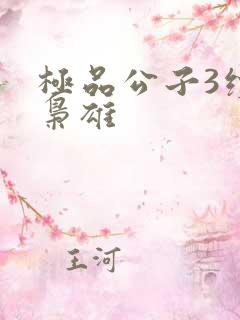 极品公子3续世枭雄