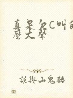 真是欠C叫的这么大声