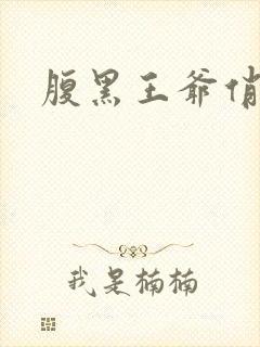 腹黑王爷俏医妃