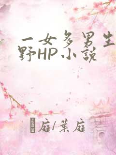 一女多男生活狂野HP小说