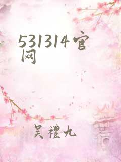 531314官网
