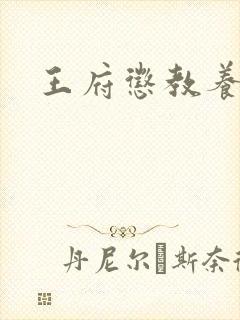 王府惩教养日常