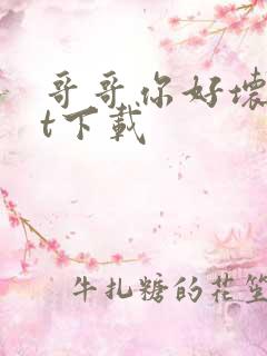 哥哥你好坏txt下载