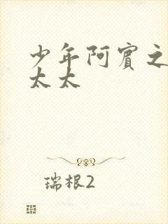 少年阿宾之房东太太