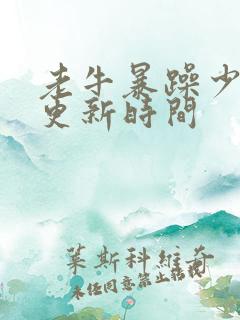 老牛暴躁少女的更新时间