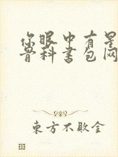 你眼中有星辰h骨科书包网