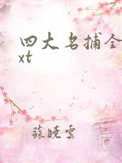 四大名捕全集txt