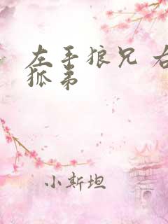 左手狼兄 右手狐弟