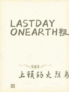 LASTDAYONEARTH粗暴