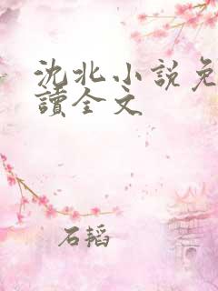 沈北小说免费阅读全文