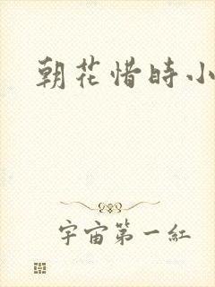 朝花惜时小说