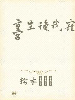 重生后我宠冠东宫