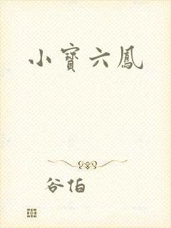 小宝六凤