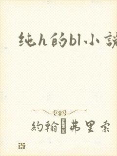 纯h的bl小说