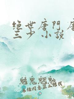 绝世唐门 唐家三少 小说