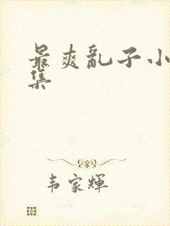 最爽乱子小说合集