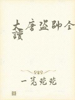 大唐盗帅全文阅读