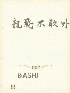 龙飞不败外传