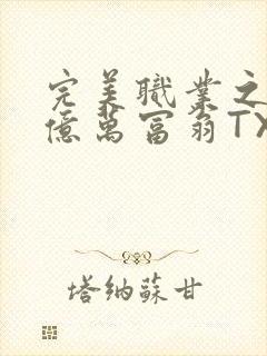 完美职业之我是亿万富翁TXT