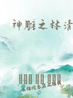 神雕之林清传