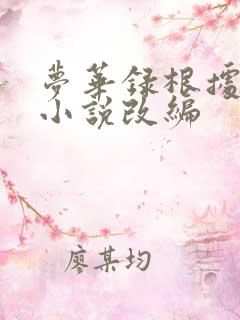 梦华录根据什么小说改编