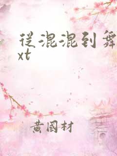 从混混到舞王txt