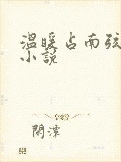 温暖占南弦尹衿小说