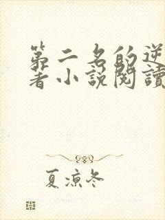 第二名的逆袭原著小说阅读软件