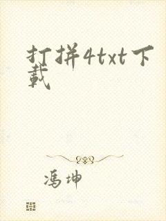 打拼4txt下载