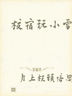 校宿玩小雪