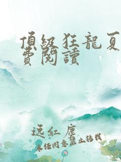 顶级狂龙夏天免费阅读