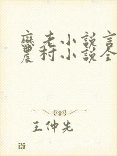 恋老小说言情网农村小说全文阅读