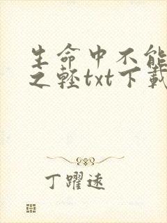 生命中不能承受之轻txt下载