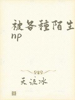 被各种陌生人 np